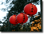 Picture of red hanging Chinese paper lanterns.