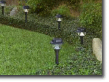 Picture of outdoor low voltage lighting installed around a small hedge.