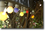 Picture of colourful outdoor string lighting hanging in a tree.