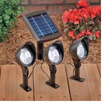 Three solar lights controlled by one solar panel.