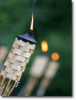 Picture of bamboo tiki torches.
